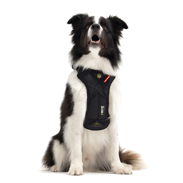 Ezydog Drive Harness - Krocktestad bilsele