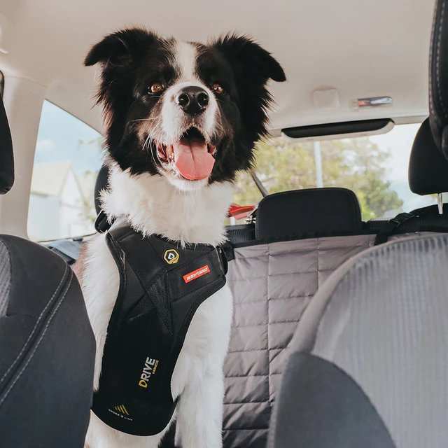 Ezydog Drive Harness - Krocktestad bilsele