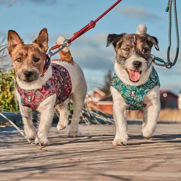 Hurtta ECO Safety Wrap - Reflexväst