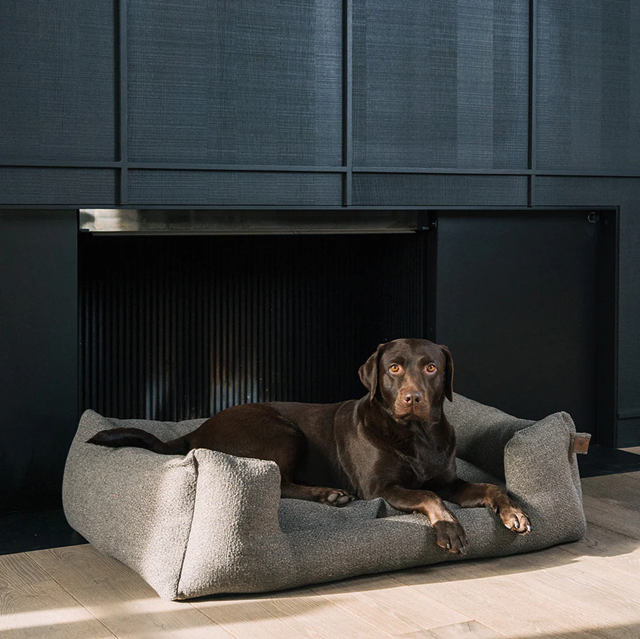Fantail Snooze Endurance ECO Ortopedisk Hundbädd - Harbor Grey