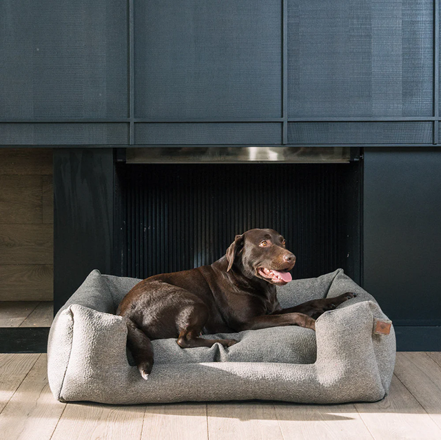 Fantail Snooze Endurance ECO Ortopedisk Hundbädd - Harbor Grey