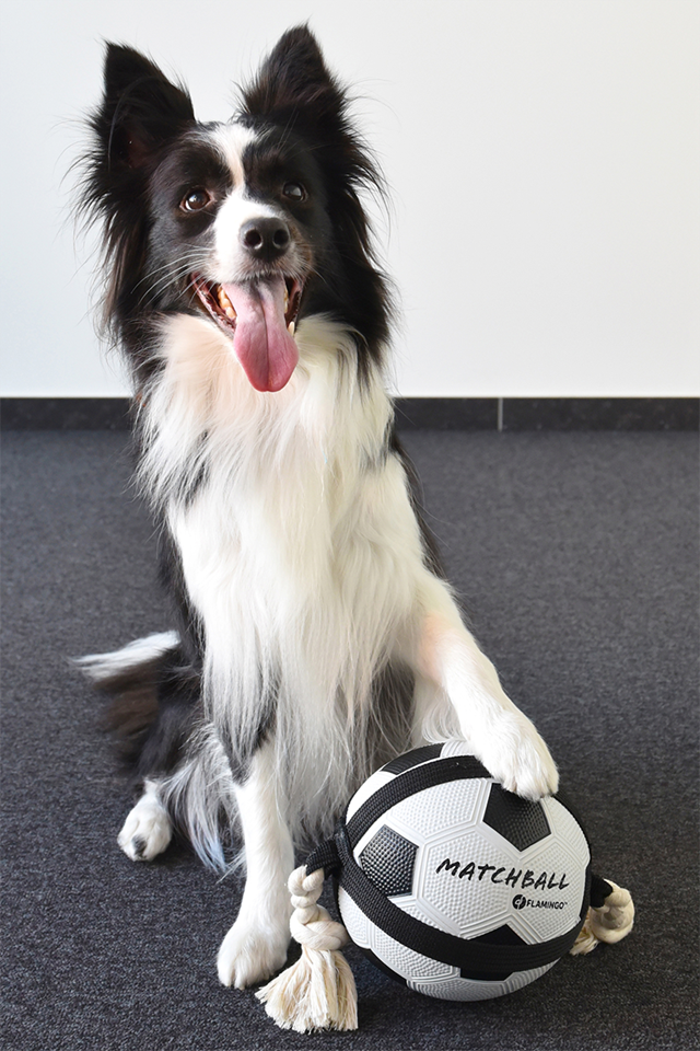 Actionboll Fotboll med Rep