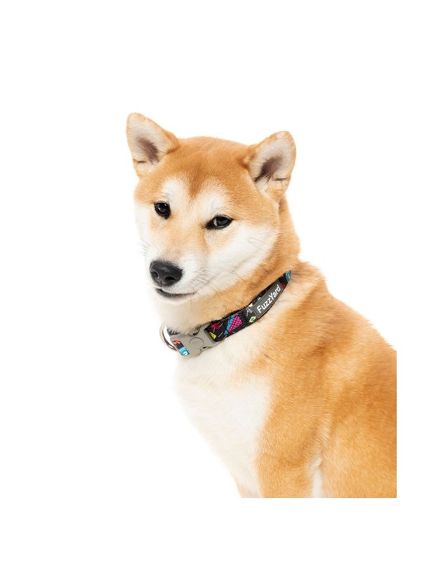 Bel Air - Hundhalsband