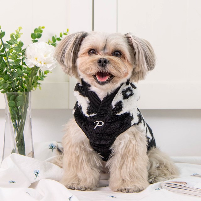 Serval - Svart Hundtröja