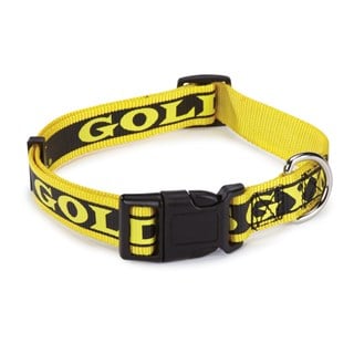Gold's Gym Dog Halsband