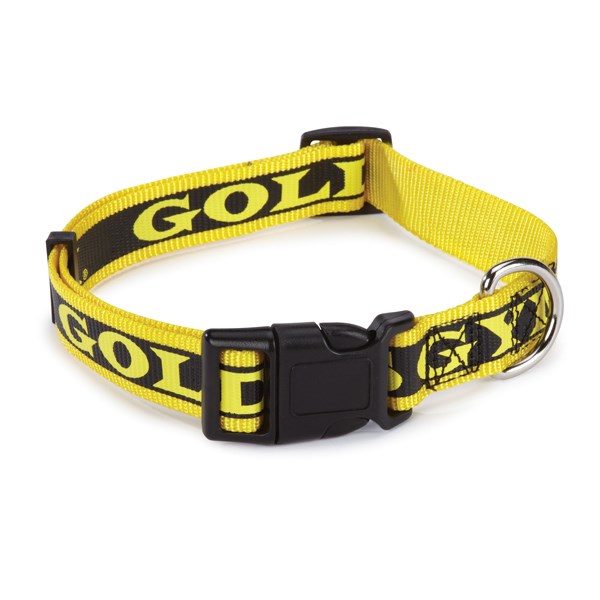 Gold's Gym Dog Halsband