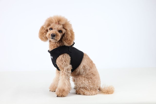 SOFT VEST Black - Hundsele