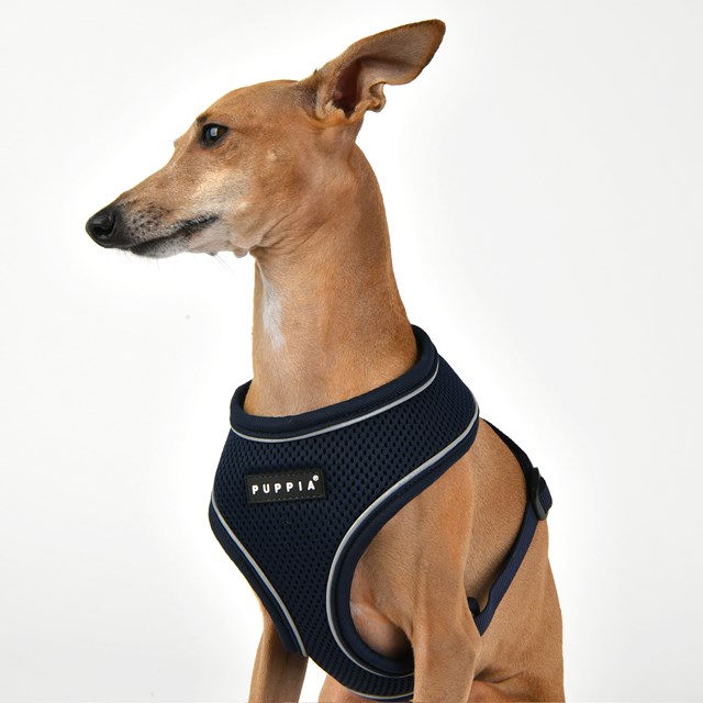 SOFT Harness A PRO Navy - Hundsele