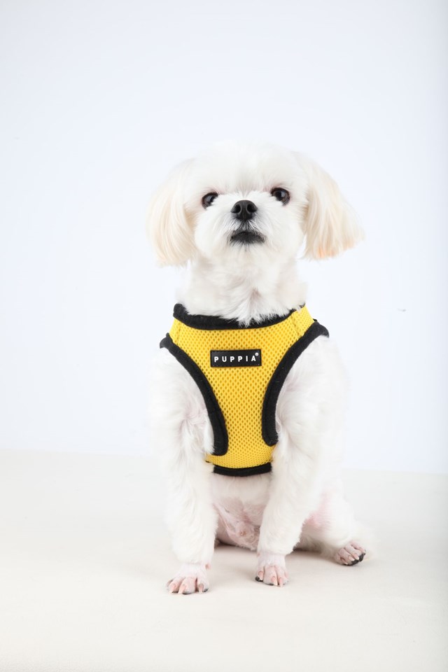 SOFT VEST Yellow - Hundsele