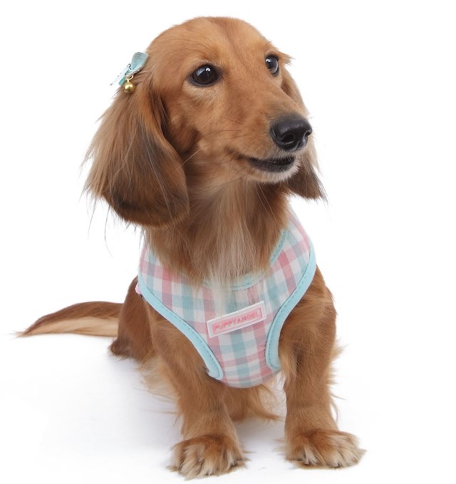 Gingham Girl Brown Sele och Koppel - XL