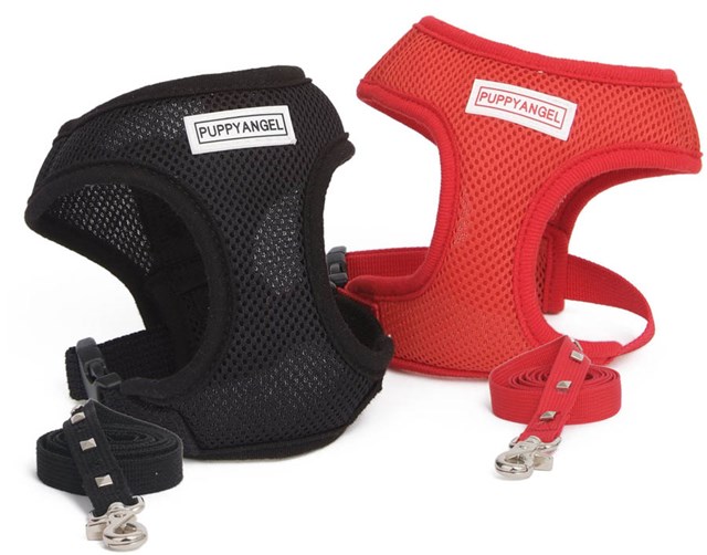 Summer Rock Red - Sele och Koppel - Large