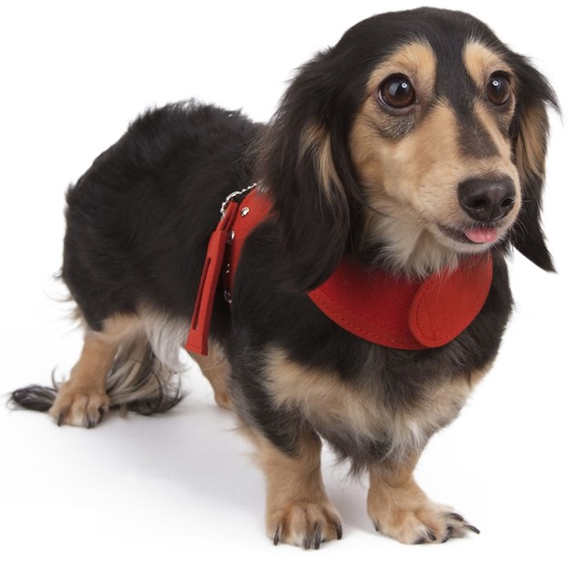 Outmatched Sele Grå - Medium