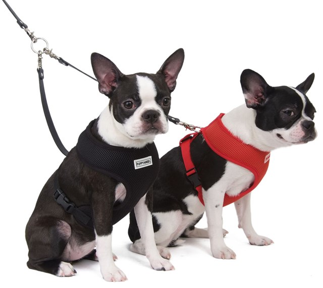 Leather Coupler Koppel