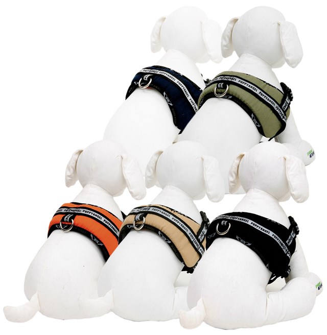 My Bodyguard Sele Orange