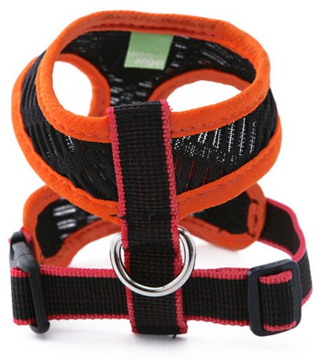 PA Hive Orange - Sele och Koppel - XL