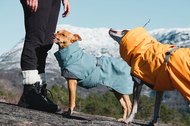 Expedition Parka Blåbär Vintertäcke
