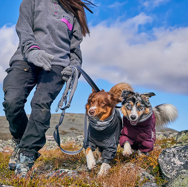 Hurtta Multilong Koppel II - Blackberry