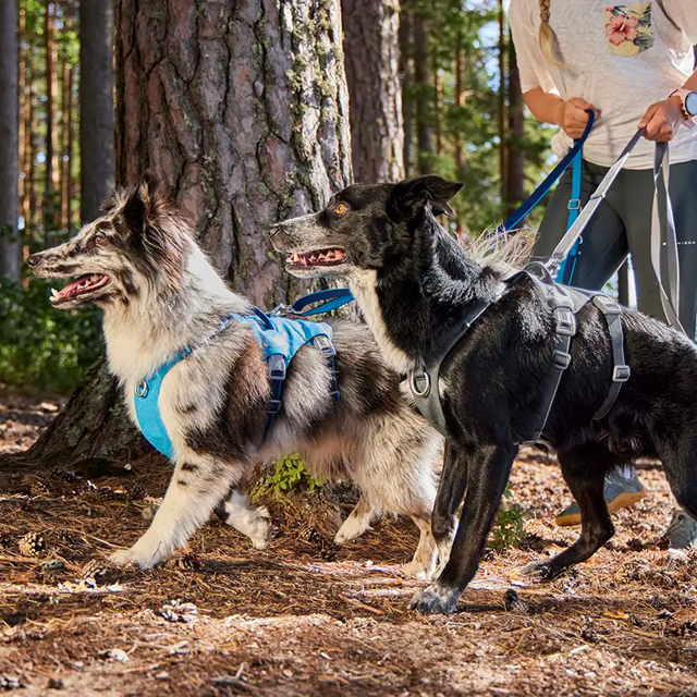 Hurtta Multilong Koppel II - Ocean