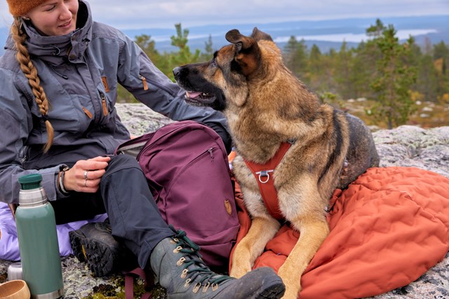 Hurtta Sleepover Sovsäck Cinnamon