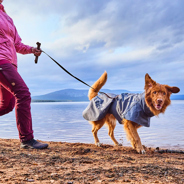 Hurtta Weekend Warrior Koppel - Blackberry