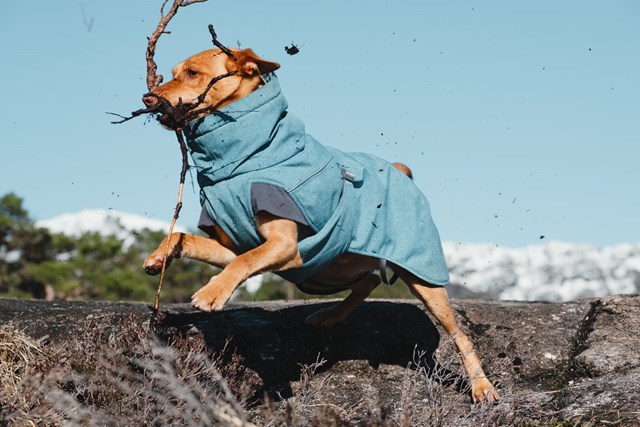 Expedition Parka Blåbär Vintertäcke