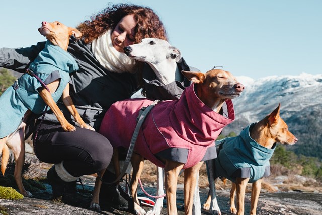 Expedition Parka Rödbeta Vintertäcke