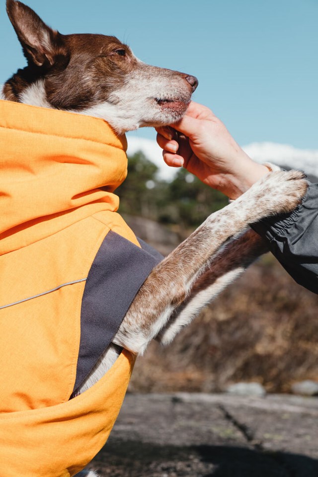 Expedition Parka Havtorn Vintertäcke