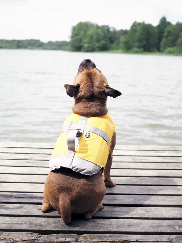 Hurtta Life Savior Hundflytväst Orange