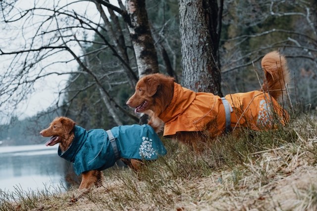 Monsoon Regntäcke Blåbär