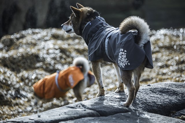 Monsoon Regntäcke Björnbär