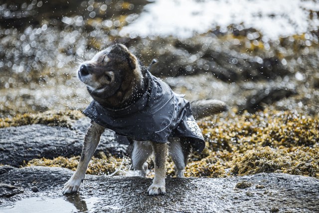 Monsoon Regntäcke Björnbär