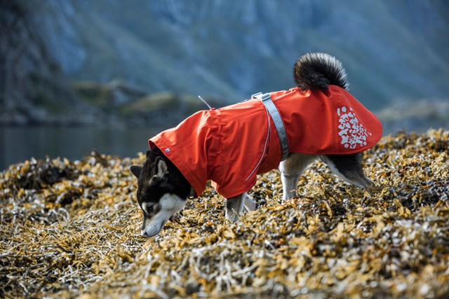 Monsoon ECO Nypon Regntäcke