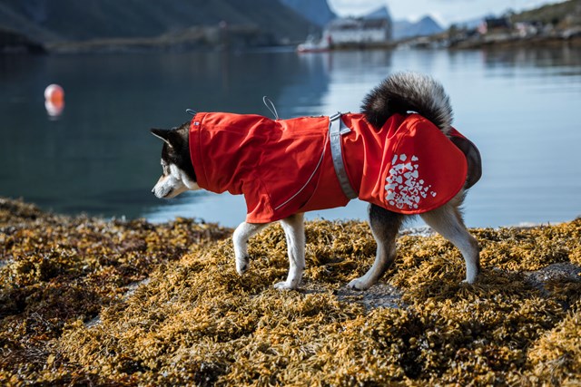 Monsoon ECO Nypon Regntäcke