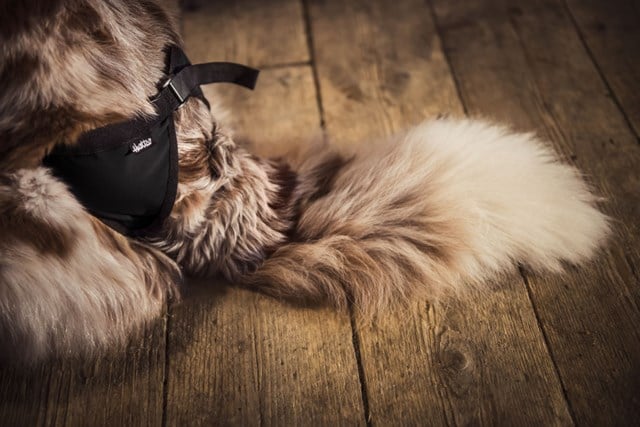 Hurtta Breezy Tikskydd