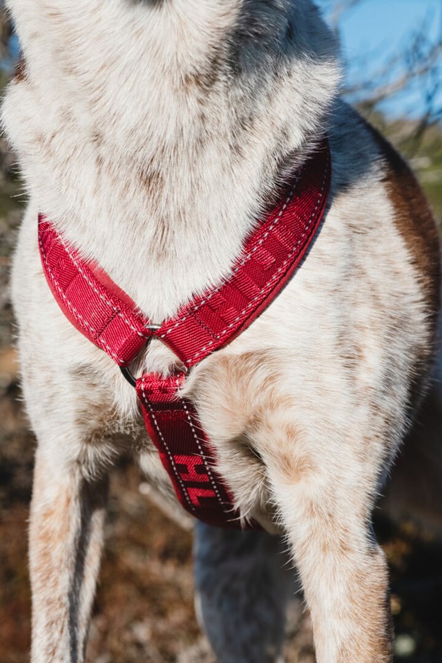 HURTTA CASUAL Y-SELE Lingon