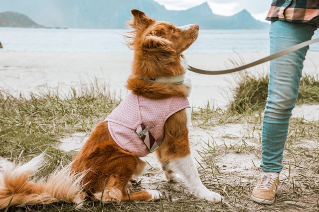 Cooling Wrap Kylväst - Carnation Pink