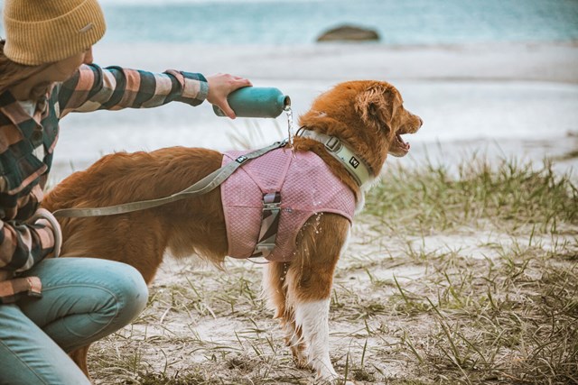 Cooling Wrap Kylväst - Carnation Pink