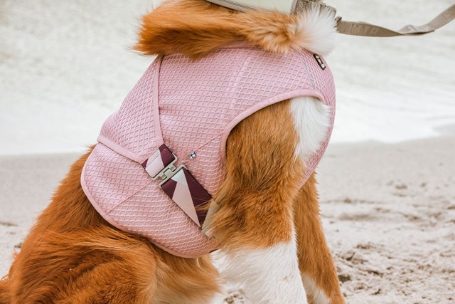 Cooling Wrap Kylväst - Carnation Pink