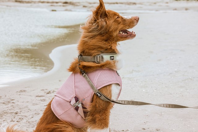 Cooling Wrap Kylväst - Carnation Pink