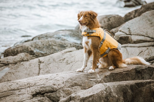 Hurtta Life Savior Hundflytväst Orange