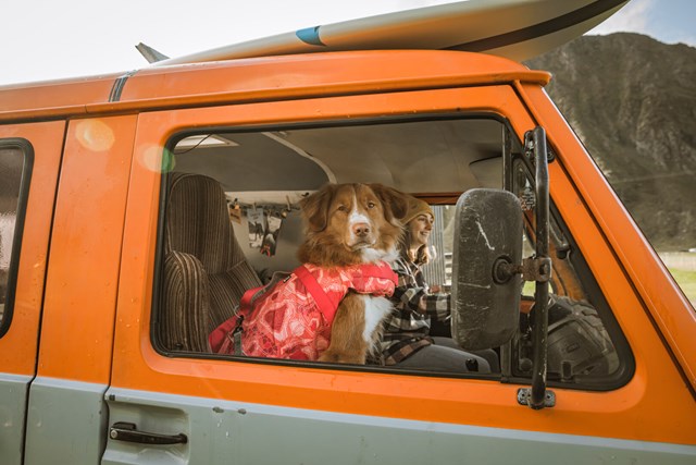 HURTTA LIFE SAVIOR HUNDFLYTVÄST ECO CORAL CAMO