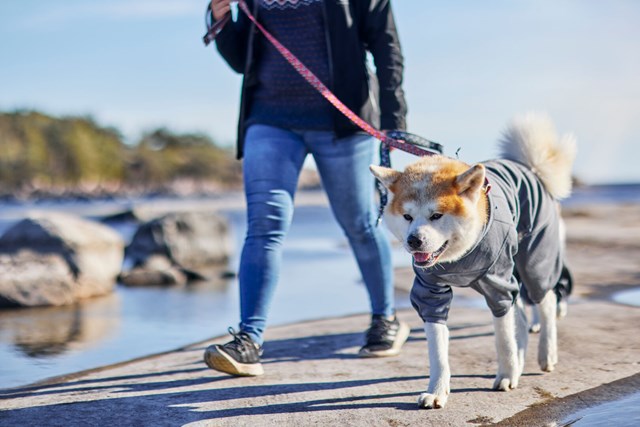 Midlayer Overall - Björnbär
