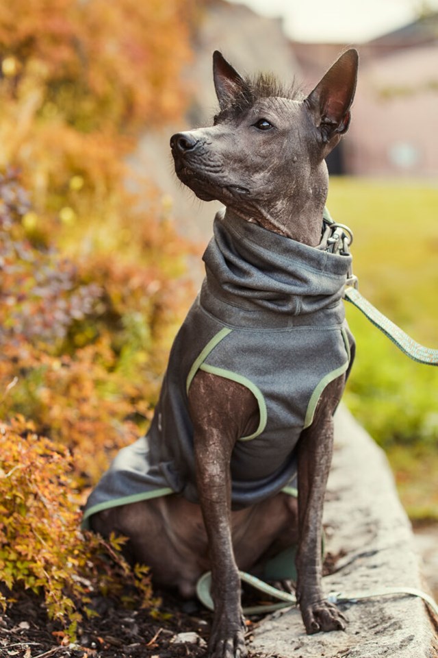 RAZZLE-DAZZLE MIDLAYER - Vändbar Fleecejacka Björnbär