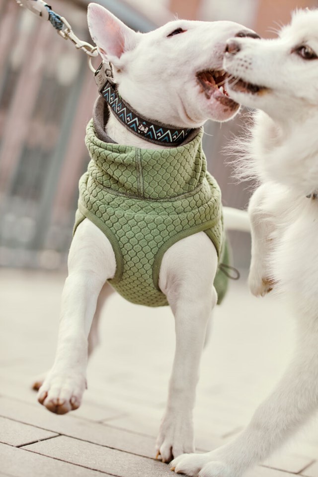 RAZZLE-DAZZLE MIDLAYER - Vändbar Fleecejacka Björnbär