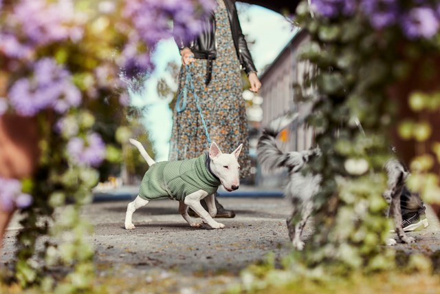 RAZZLE-DAZZLE MIDLAYER - Vändbar Fleecejacka Björnbär