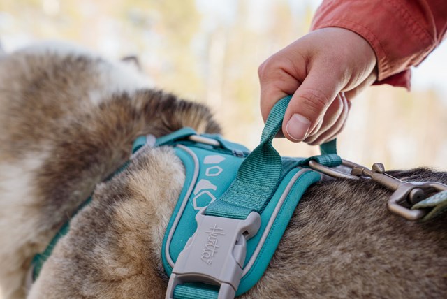 Hurtta Weekend Warrior Sele Peacock