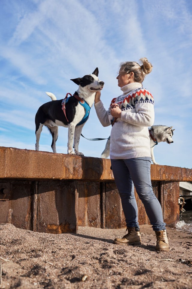 Weekend Warrior Värmande EKO Sele - Blåbär