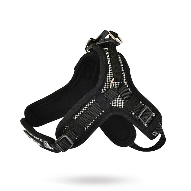 Puppytooth X Black - Step-In Hundsele