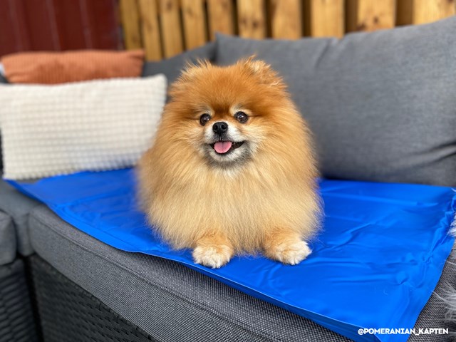 Svalkande Kyldyna - Blå