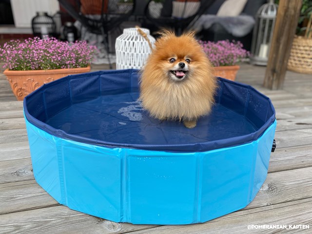 Hopfällbar Hundpool - Blå